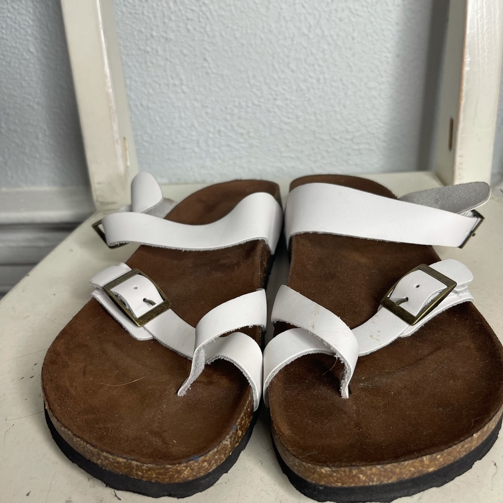 Whit Mountain OOTBEDS